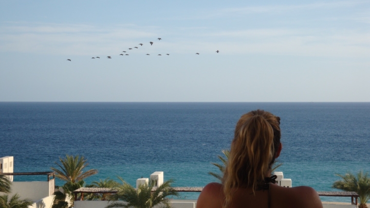 Marcella Torres no Las Ventanas al Paraiso, A Rosewood Resort