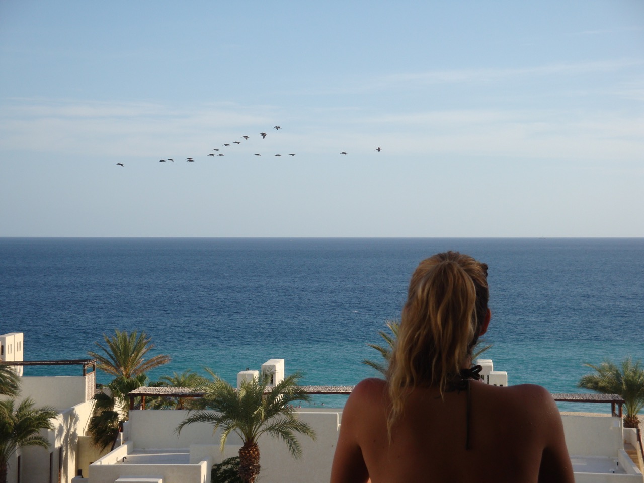 Marcella Torres no Las Ventanas al Paraiso, A Rosewood Resort