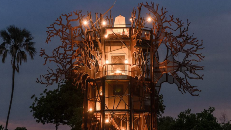 Baobab Treehouse