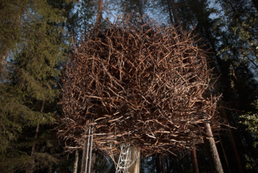 Bird's Nest TreeHotel