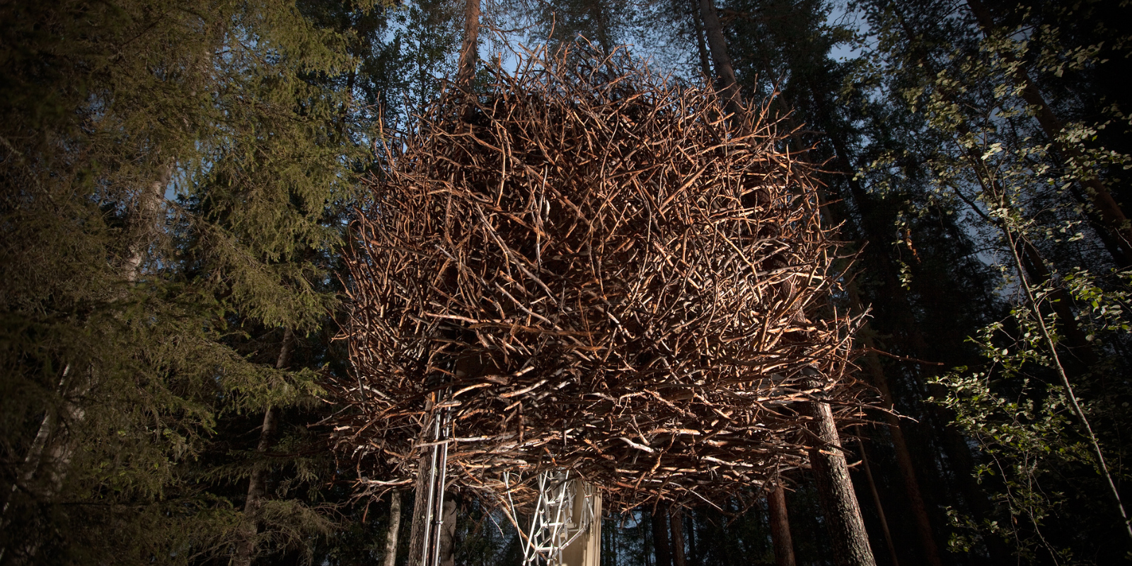 Bird's Nest TreeHotel