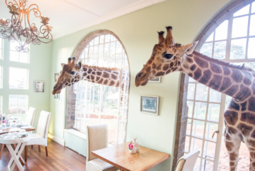 Giraffe Manor na Quênia