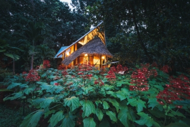 Tree House Hotel na Costa Rica