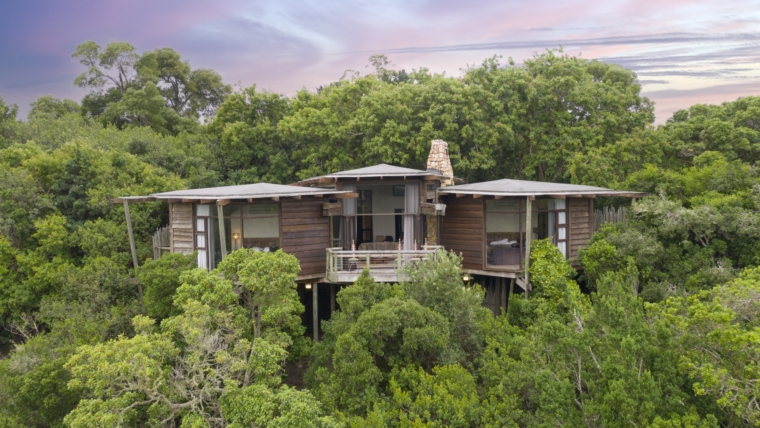 Tsala Treetop Lodge na África do Sul