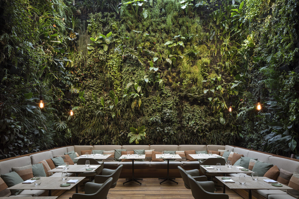 Emile | Foto: CheckHotels