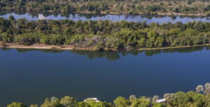 Crocodilo invade hotel de luxo no Zimbábue e tenta entrar na cozinha