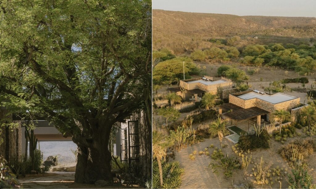Traíras Hotel em Alagoas | Foto: reprodução