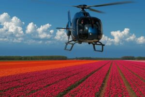Helicóptero, caviar e milhões de flores: hotel em Amsterdã transforma temporada das tulipas em experiência de luxo