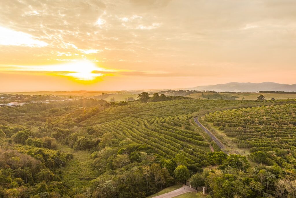 Fazenda Santa Helena, projerto da JHSF | Foto: divulgação