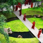 OSHO International Meditation Resort | Foto: divulgação