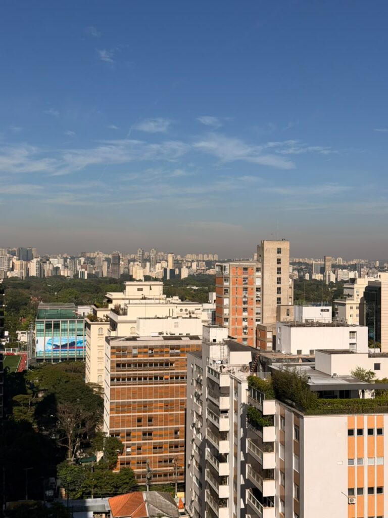 Vista do Emiliano São Paulo | Foto: Check Hotels