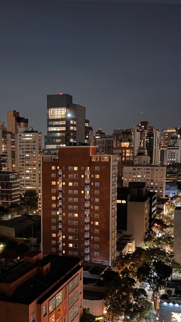 Vista do Emiliano São Paulo | Foto: Check Hotels