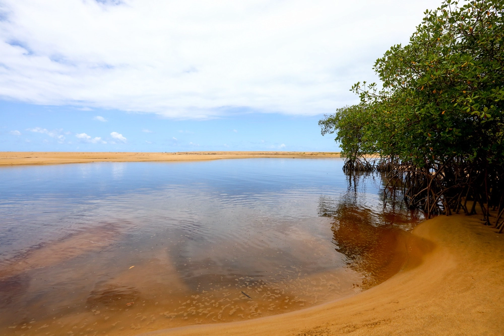 Praia Barra do Rio dos Frades | Foto: divulgação
